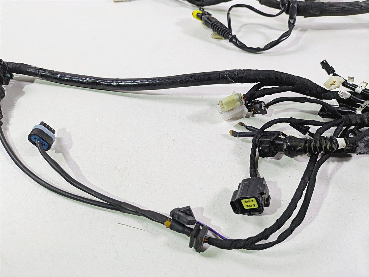 2018 Ducati Scrambler Desert Sled 800 Main Wiring Harness Loom -No Cut 5101C582A {{ shop.shopifyCountryName }} - Mototech271