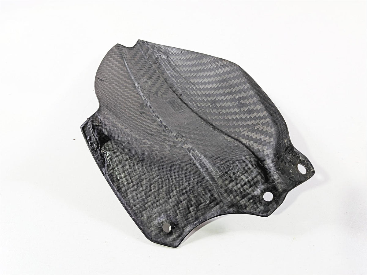 2019 Triumph Speed Triple RS 1050 Carbon Fiber Rear Fender Mud Guard {{ shop.shopifyCountryName }} - Mototech271