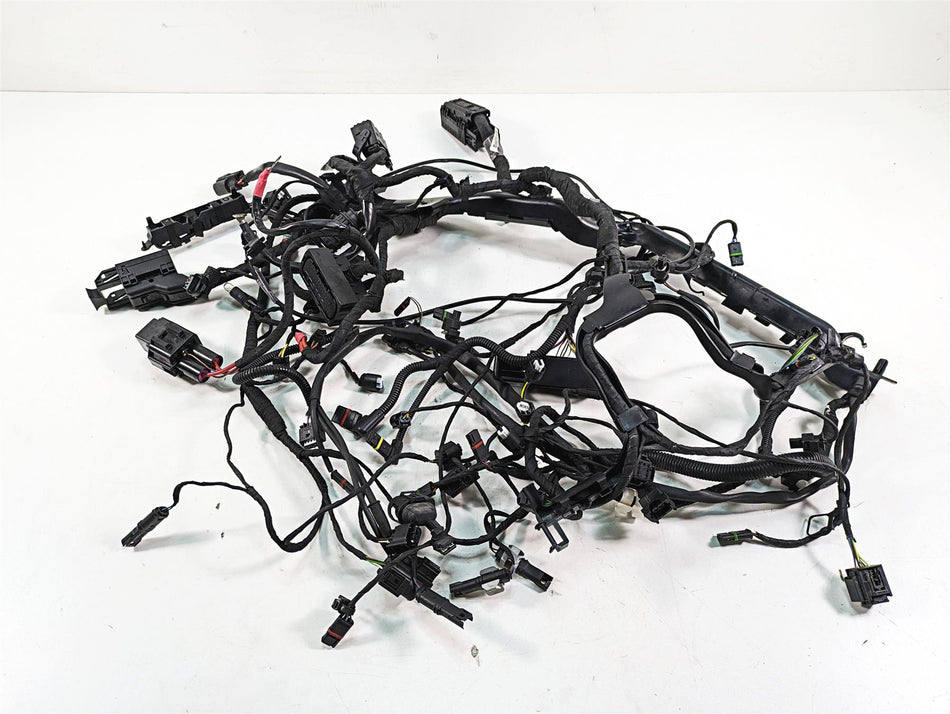 2016 BMW R1200R K53 Main & Engine Wiring Harness Esa Abs Heat Set 61118554353 {{ shop.shopifyCountryName }} - Mototech271
