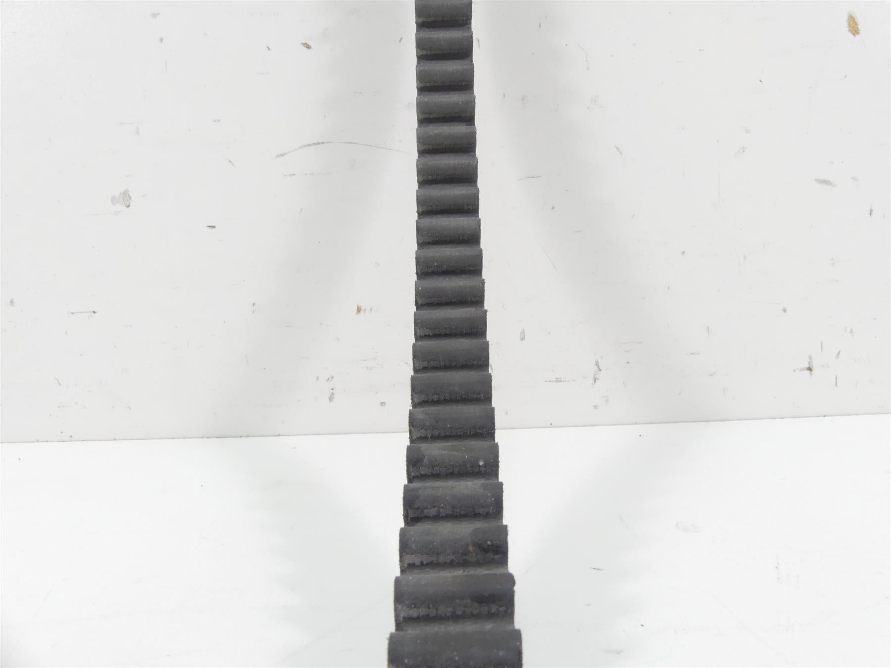 2016 Indian Scout Sixty Rear Main Drive Belt 141T 22mm 3211176 {{ shop.shopifyCountryName }} - Mototech271