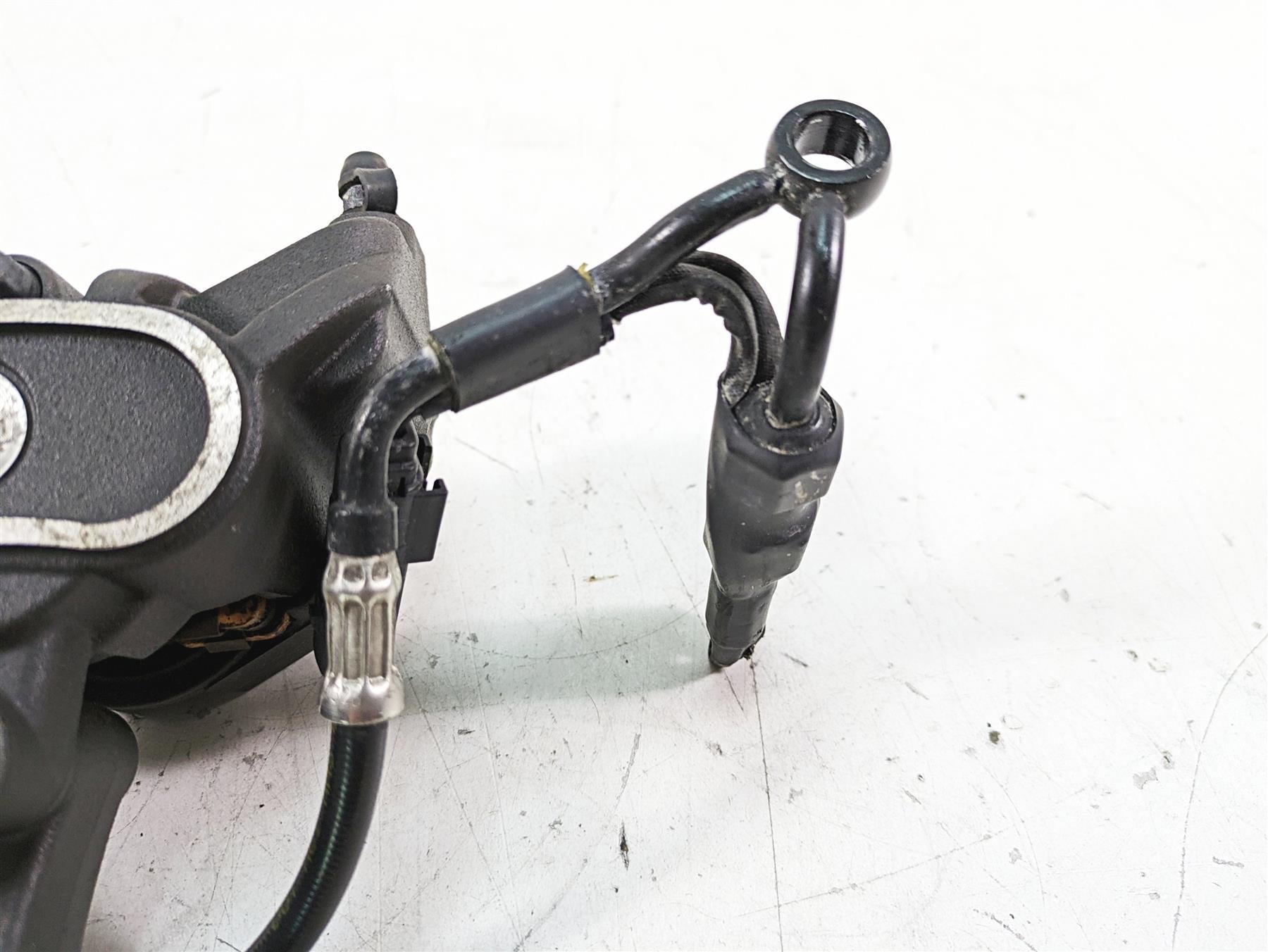 2019 Harley XL883N Sportster Iron Rear Brake Caliper & Bracket, Line 41300039 {{ shop.shopifyCountryName }} - Mototech271