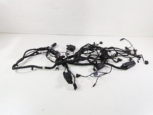2017 BMW F800GS Adv K75 Engine & Main Wiring Harness 12518566629 61118566632