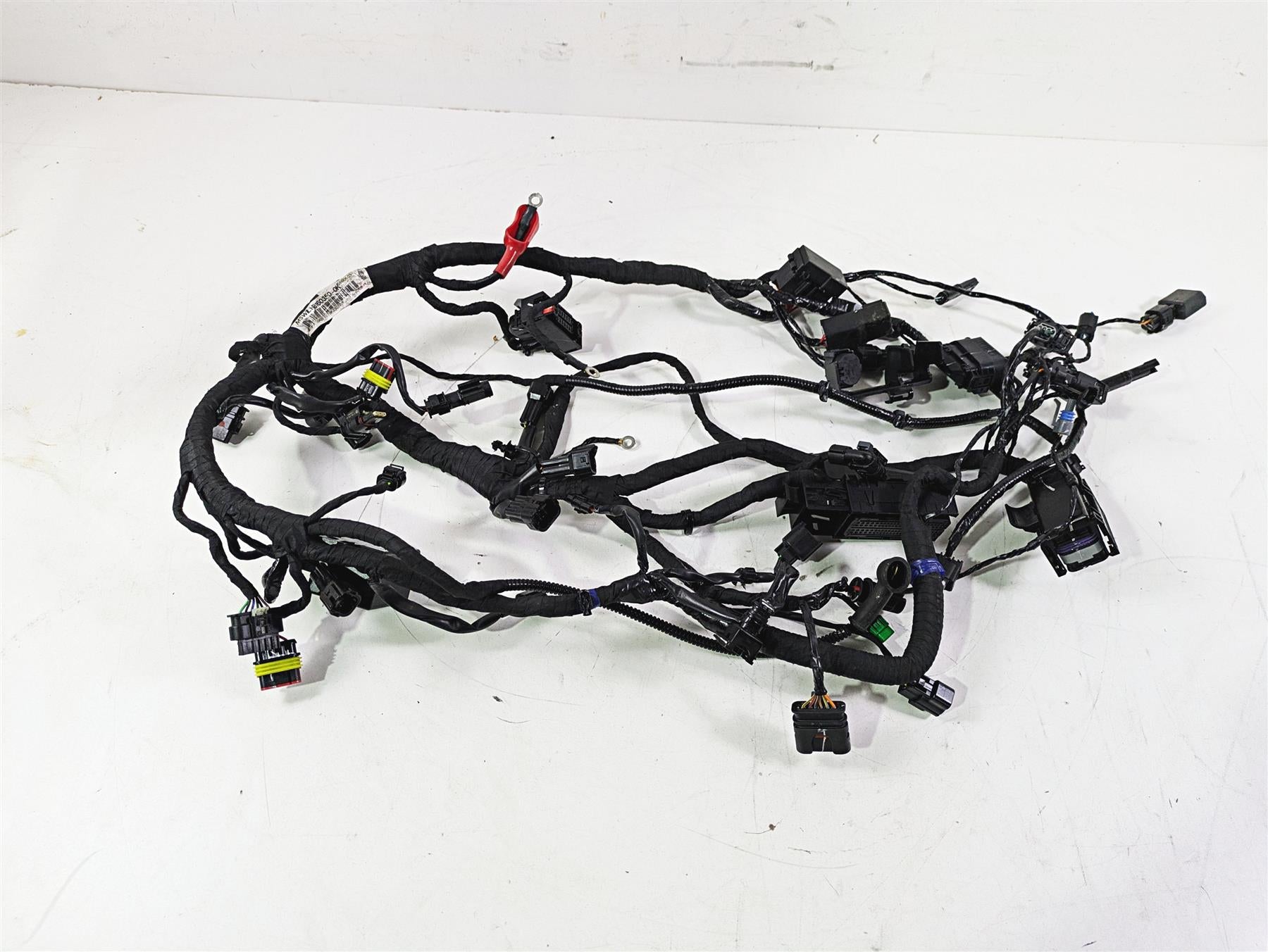 2023 BMW G310R K03 Wiring Harness Loom - No Cuts 61111541006