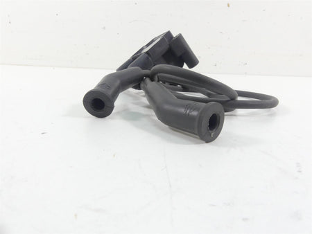 2016 Harley Touring FLHR Road King Delphi Ignition Coil Wires Plugs 31696-07A {{ shop.shopifyCountryName }} - Mototech271