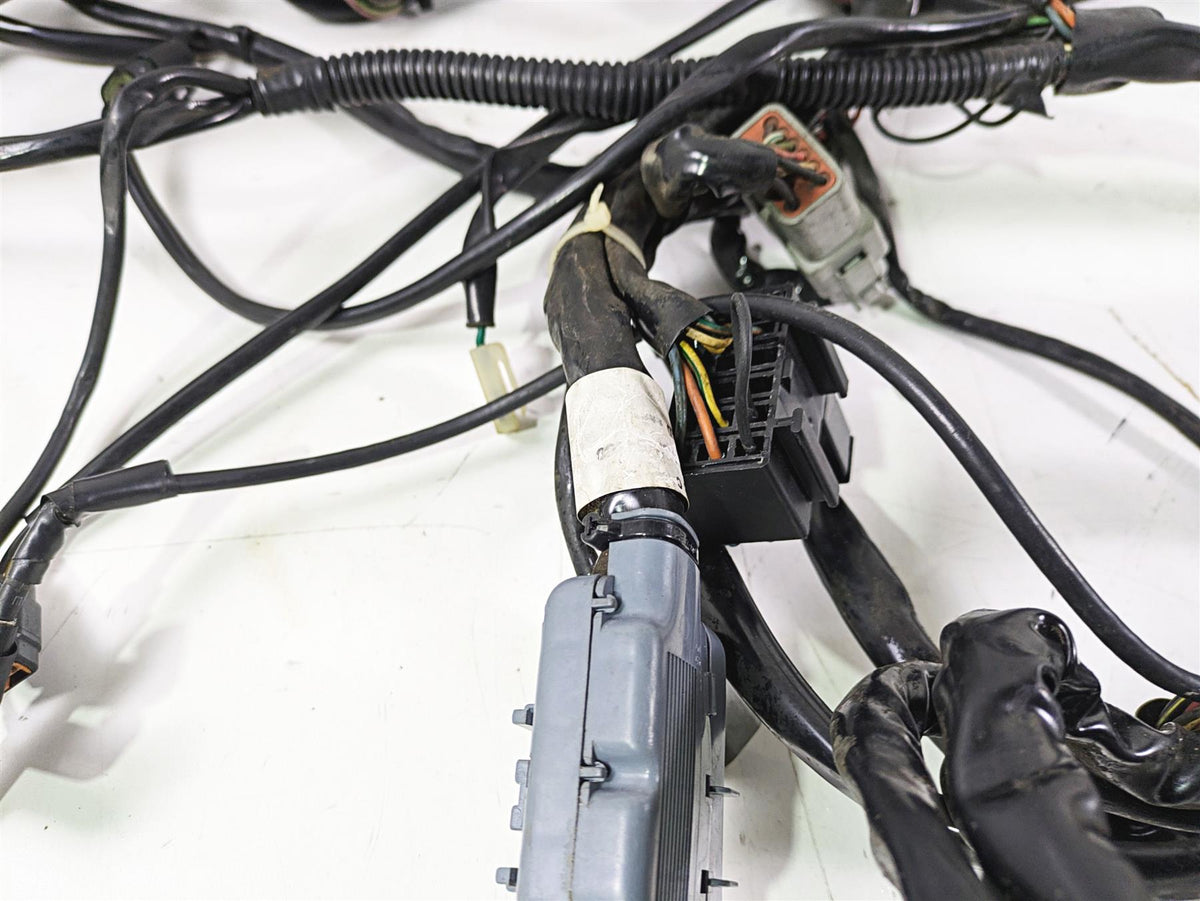 2003 Harley Touring FLHTCUI E-Glide 100th Main Wiring Harness - No Cuts 70985-03 {{ shop.shopifyCountryName }} - Mototech271