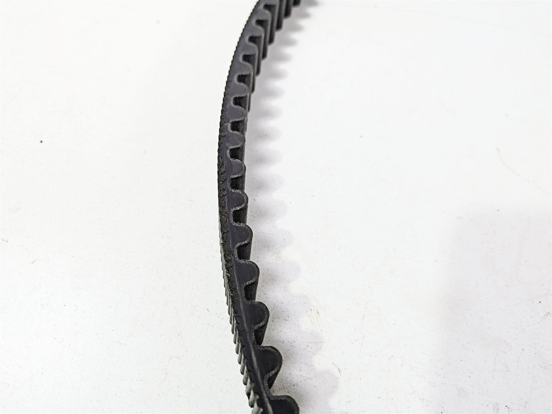 2019 Indian Chieftain Limited Rear Drive Belt 152T 24mm 3211168 {{ shop.shopifyCountryName }} - Mototech271