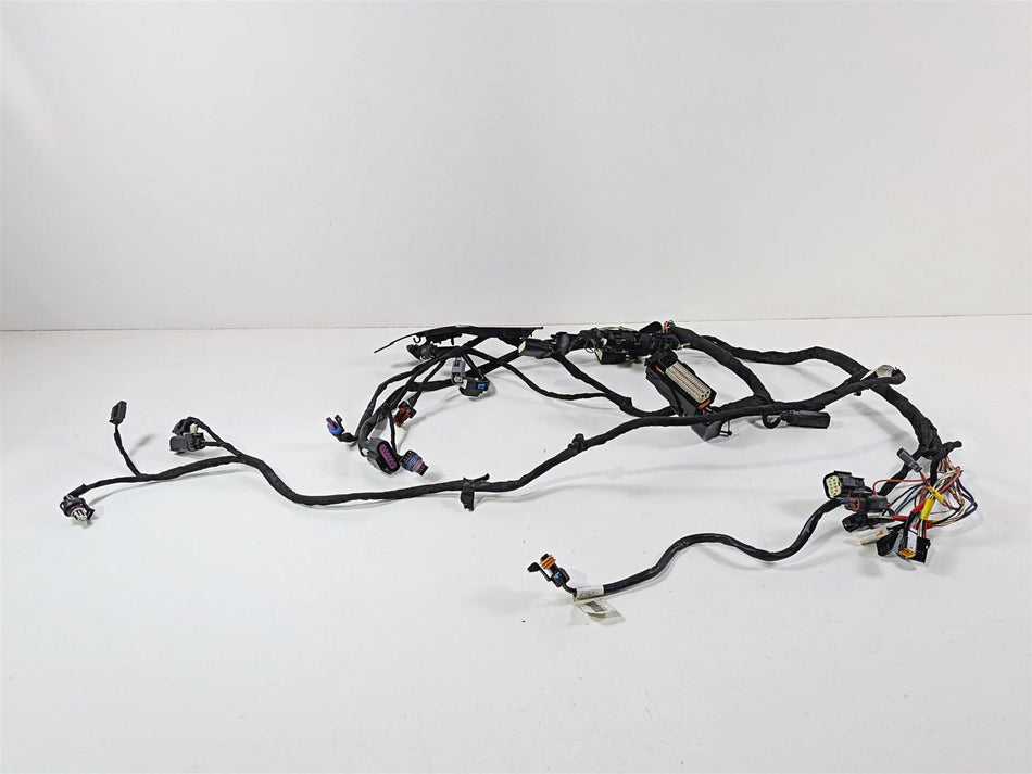 2024 Harley FXLRS Dyna Low Rider Back Bone Wiring Harness Loom - Read 69201655