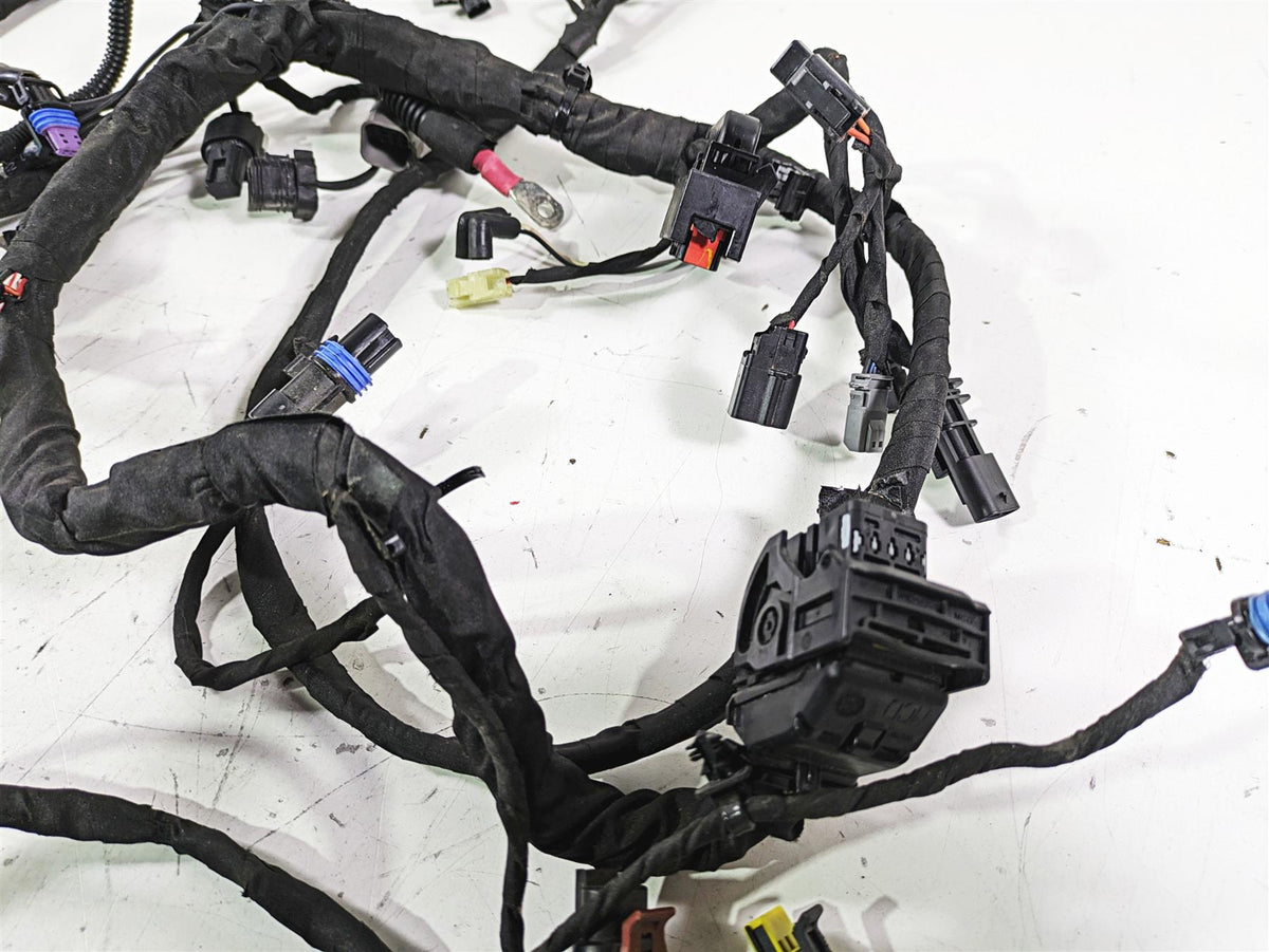 2019 Harley FLHCS Softail Heritage Main Wiring Harness Loom Abs -No Cut 69201492 {{ shop.shopifyCountryName }} - Mototech271