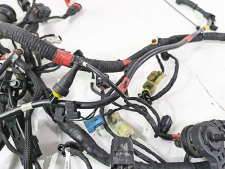 2017 Ducati Monster 1200 S Main Wiring Harness Loom No Cuts 5101B291C {{ shop.shopifyCountryName }} - Mototech271