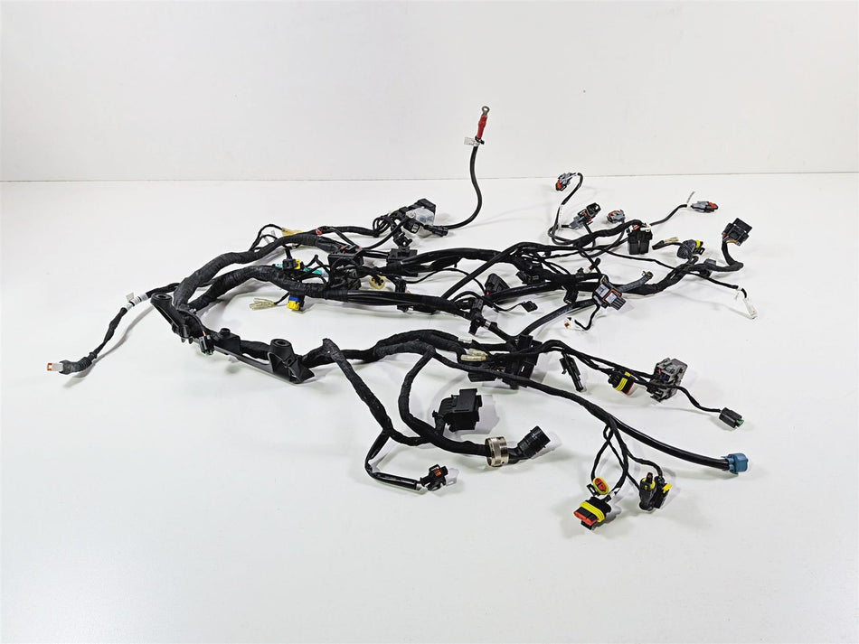 2019 Ducati 959 Panigale Main Wiring Harness Loom - No Cut 5101B071B {{ shop.shopifyCountryName }} - Mototech271