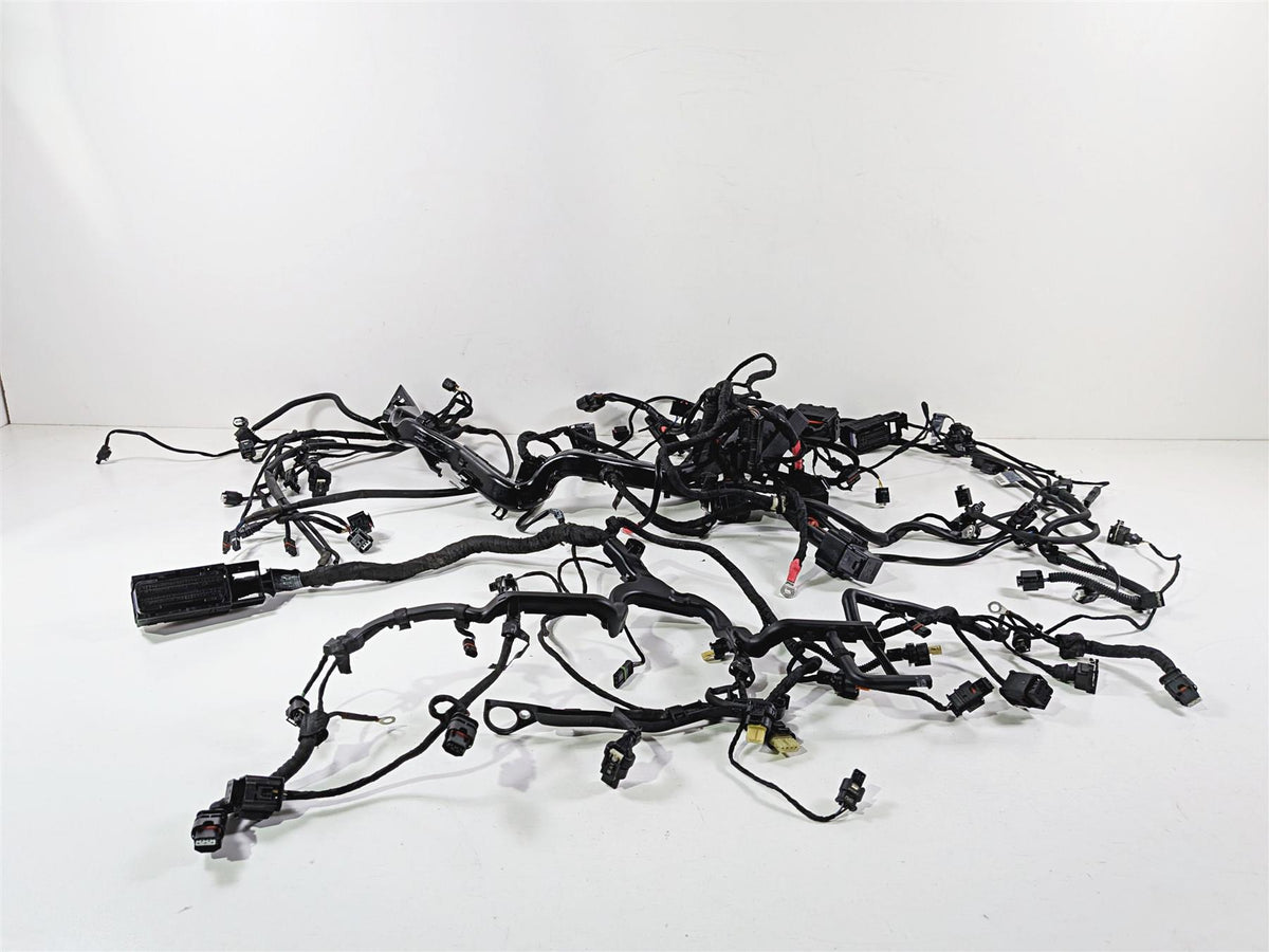 2021 BMW R1250GS K51 Adventure Main & Engine Wiring Harness Esa 61111683766-Mototech271