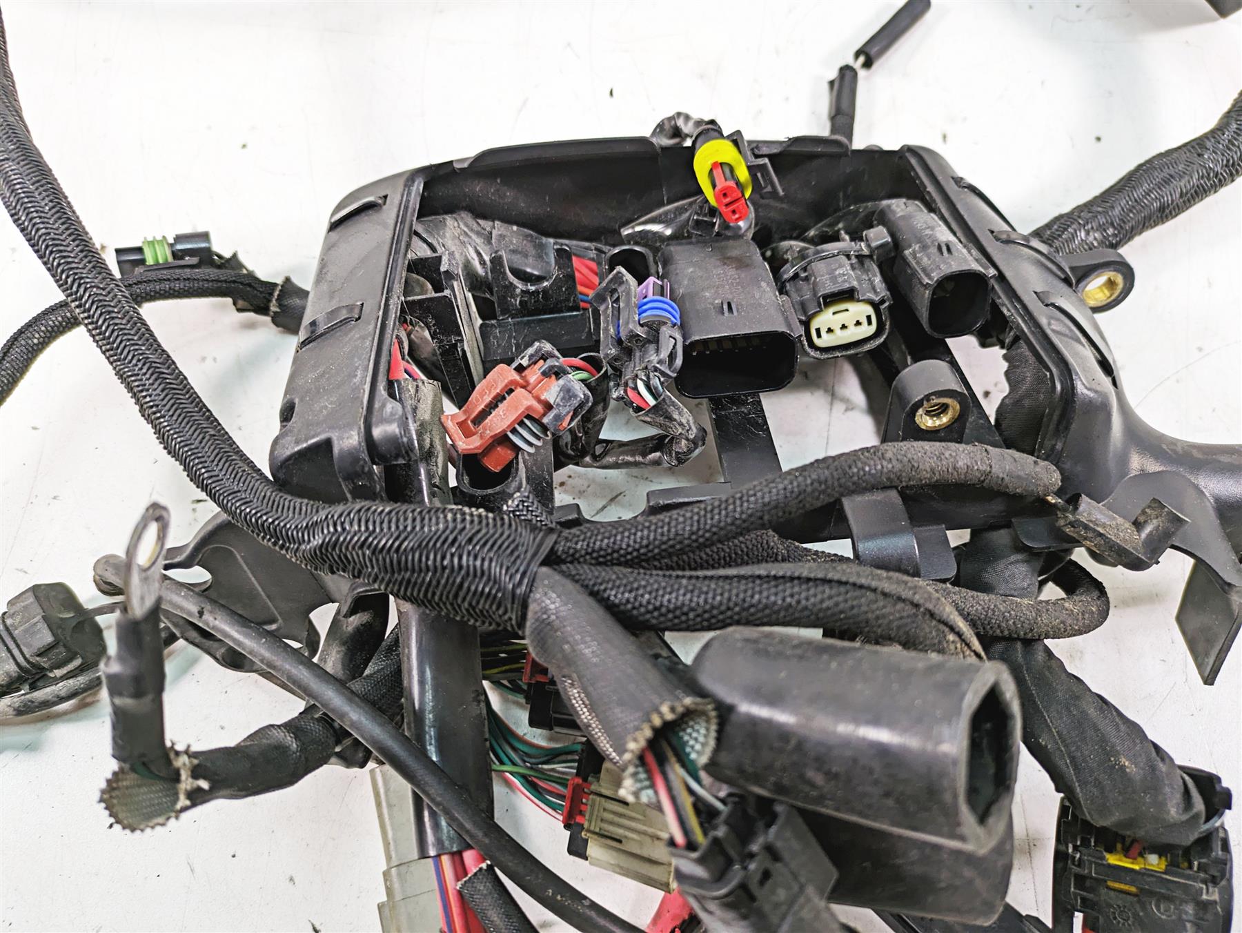2019 Harley XL883N Sportster Iron Wiring Harness Loom Non ABS & Key 69200072B {{ shop.shopifyCountryName }} - Mototech271