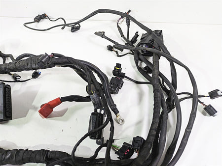 2019 BMW S1000XR K49 Main & Engine Wiring Harness Abs Esa - No Cuts 61118358423 {{ shop.shopifyCountryName }} - Mototech271