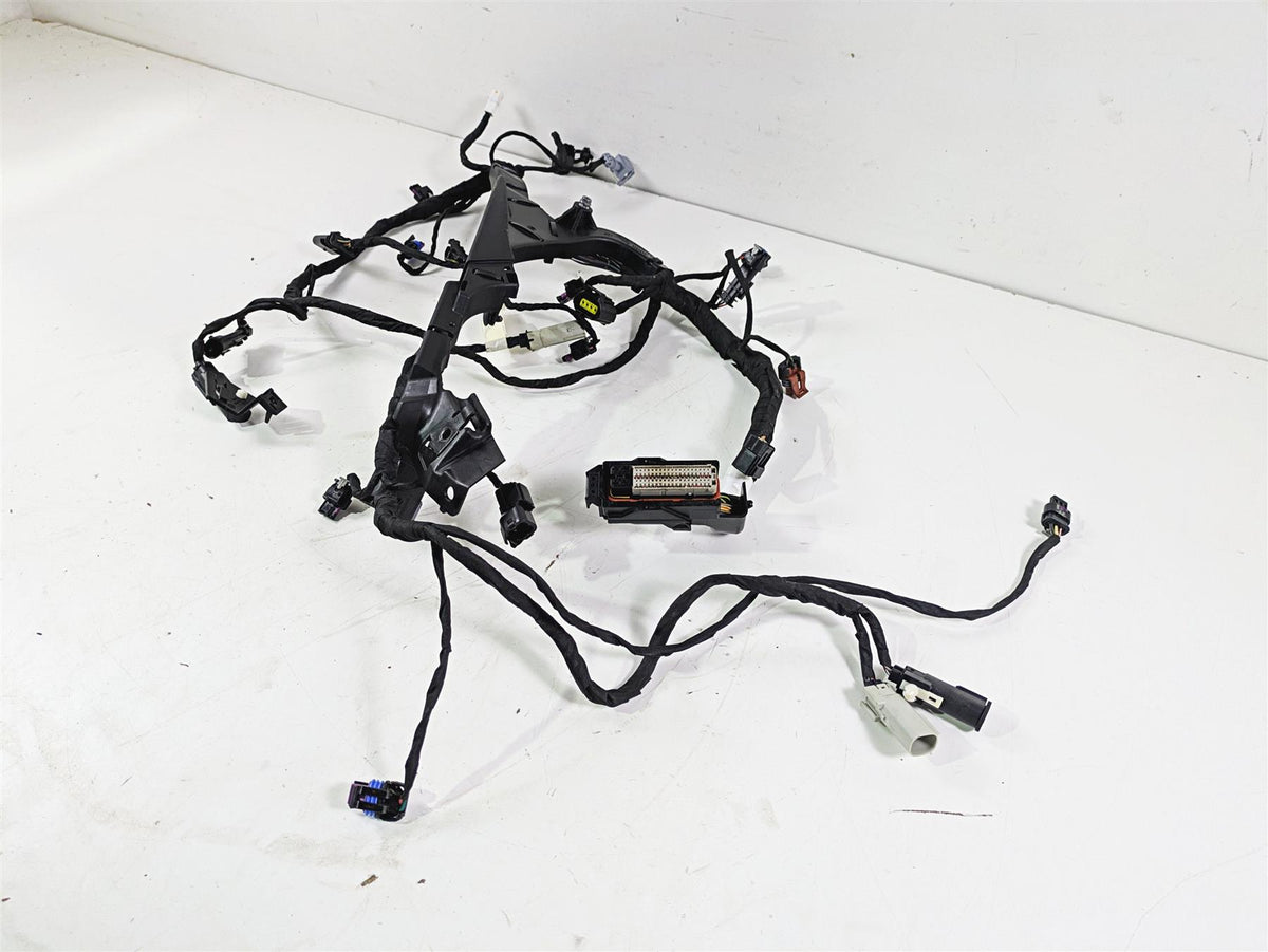 2024 Harley Sportster RH975 S Engine Wiring Harness Loom - Read 69203140 {{ shop.shopifyCountryName }} - Mototech271