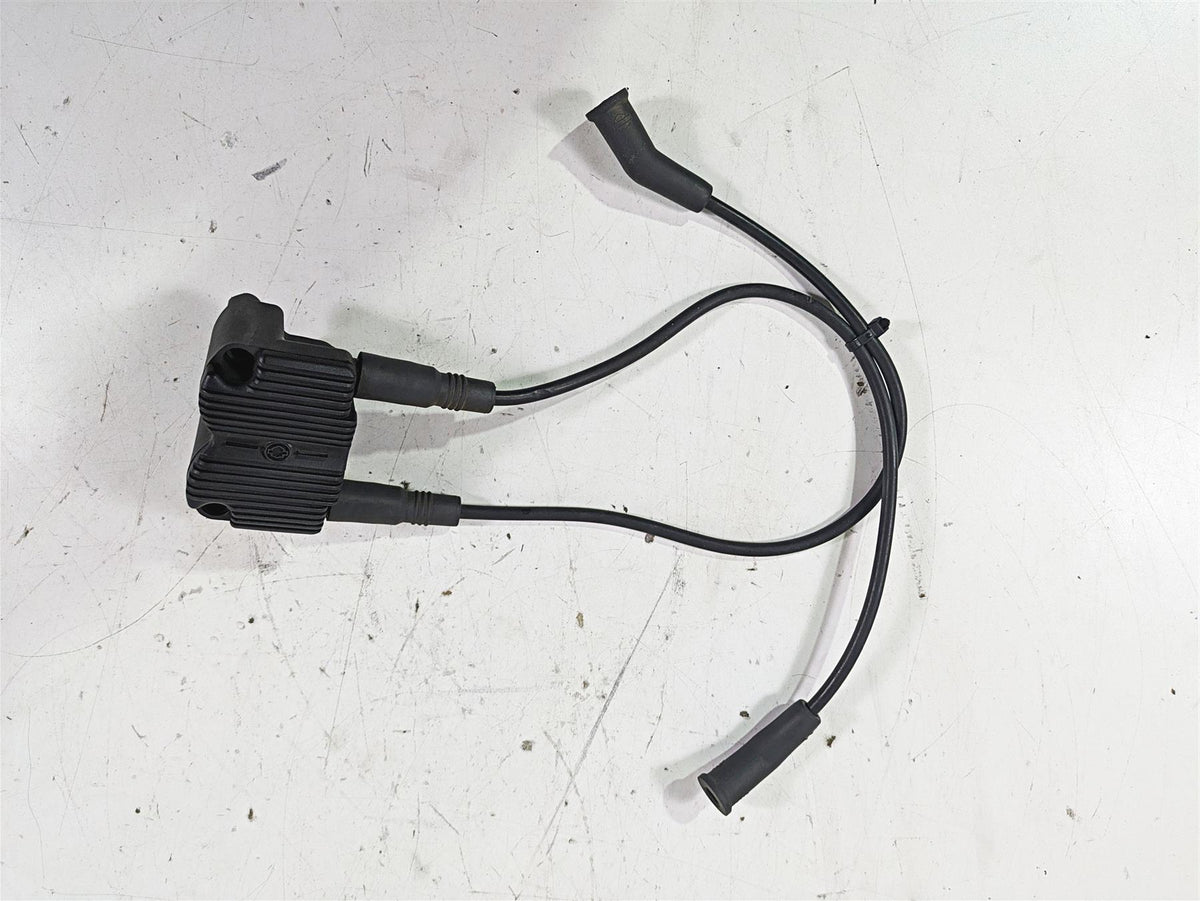 2003 Harley Touring FLHTCUI 100TH E-Glide Ignition Coil Wires Plugs 31743-01 {{ shop.shopifyCountryName }} - Mototech271