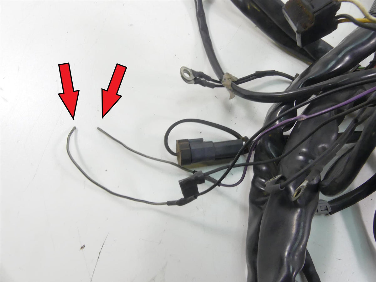 2005 Harley Touring FLHRSI Road King Main Wiring Harness Loom - Read 70245-04A {{ shop.shopifyCountryName }} - Mototech271