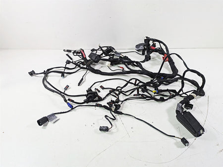 2015 BMW R nineT K21 Main & Engine Wiring Harness Set 61118548701 61118552922 {{ shop.shopifyCountryName }} - Mototech271