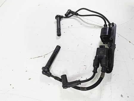 2017 Ducati Monster 1200 S Beru Ignition Coils Wires Plugs & Bracket 38040101C {{ shop.shopifyCountryName }} - Mototech271