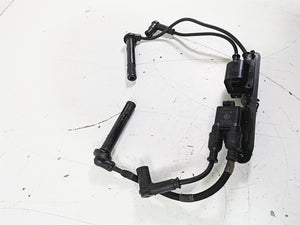 2017 Ducati Monster 1200 S Beru Ignition Coils Wires Plugs & Bracket 38040101C | Mototech271