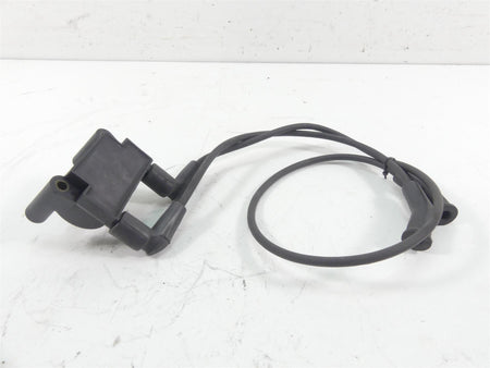 2011 Harley Touring FLTRU Road Glide Delphi Ignition Coil Wires Plugs 31696-07A {{ shop.shopifyCountryName }} - Mototech271