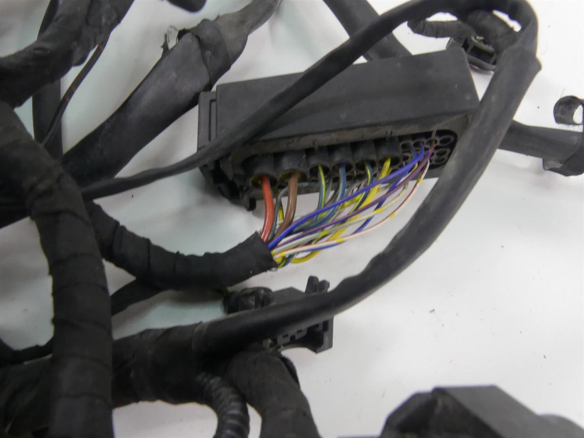 2016 BMW S1000XR K49 Main & Engine Wiring Harness Esa Heat - No Cuts 61118565232 {{ shop.shopifyCountryName }} - Mototech271