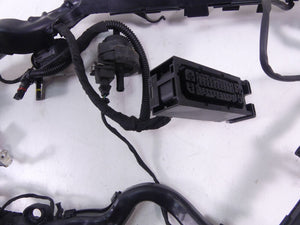 2016 BMW R1200RS K54 Main Wiring Harness Esa Cruise Abs -No Cuts 61118562125