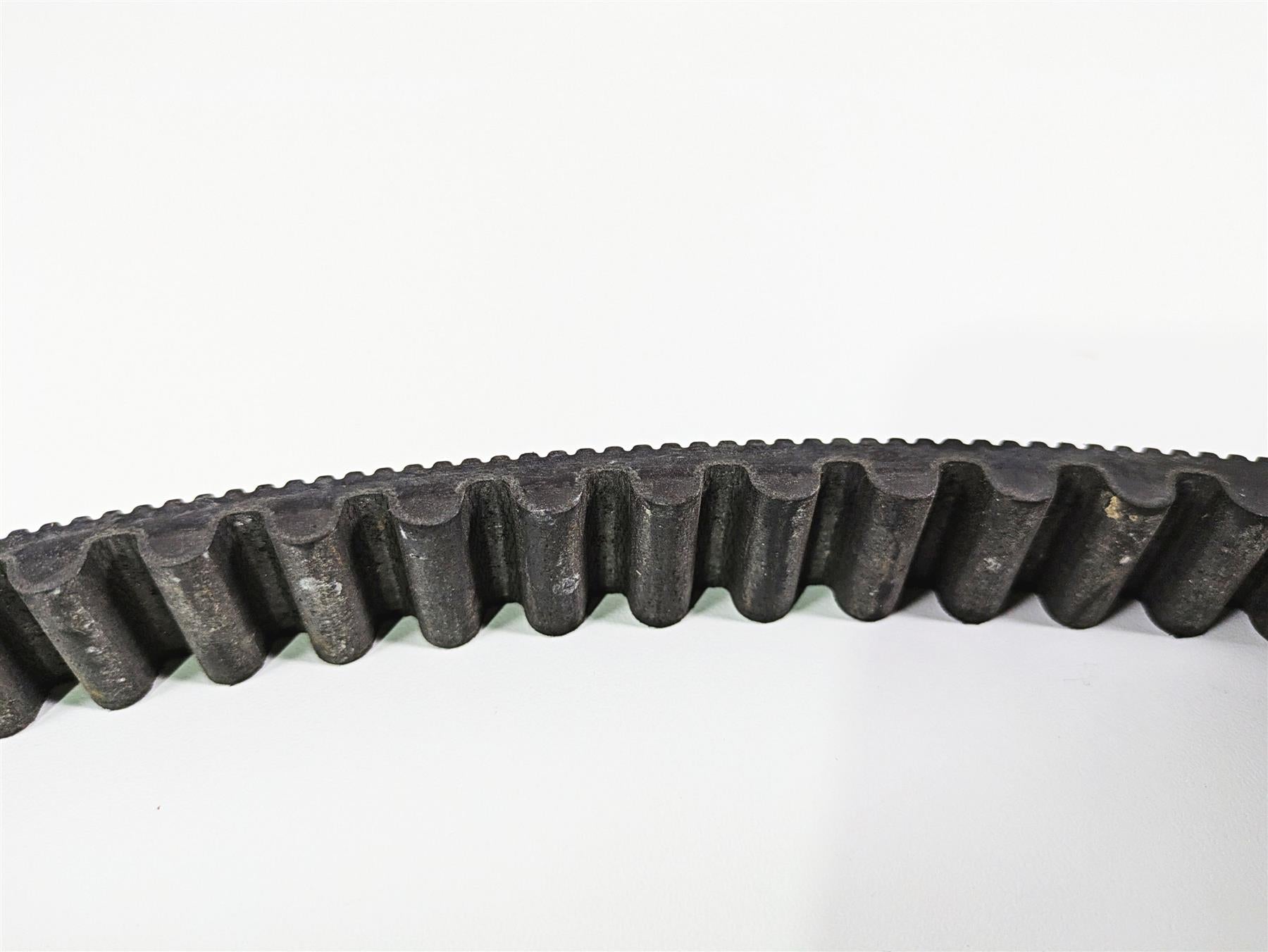 2016 Indian Chief Classic Rear Drive Belt 125T 24mm 3211168 {{ shop.shopifyCountryName }} - Mototech271