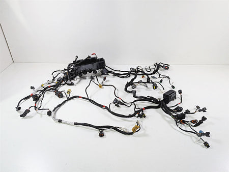 2019 Ducati Panigale V4S V4 S Corse Wiring Harness Loom Set 5101C381G 69929711A {{ shop.shopifyCountryName }} - Mototech271