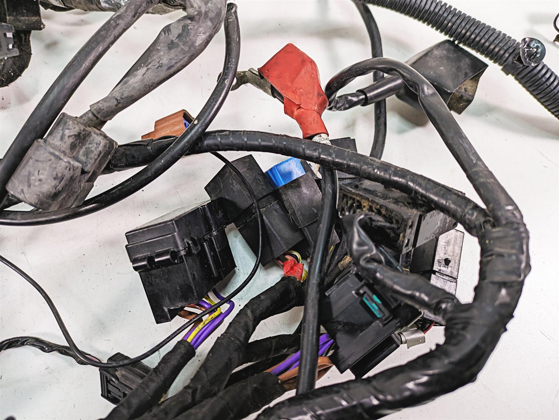 2012 Triumph Tiger 800XC ABS Main Wiring Harness Loom - No Cuts T2508022 {{ shop.shopifyCountryName }} - Mototech271