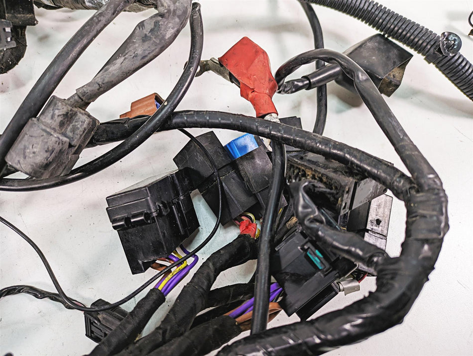 2012 Triumph Tiger 800XC ABS Main Wiring Harness Loom - No Cuts T2508022 {{ shop.shopifyCountryName }} - Mototech271