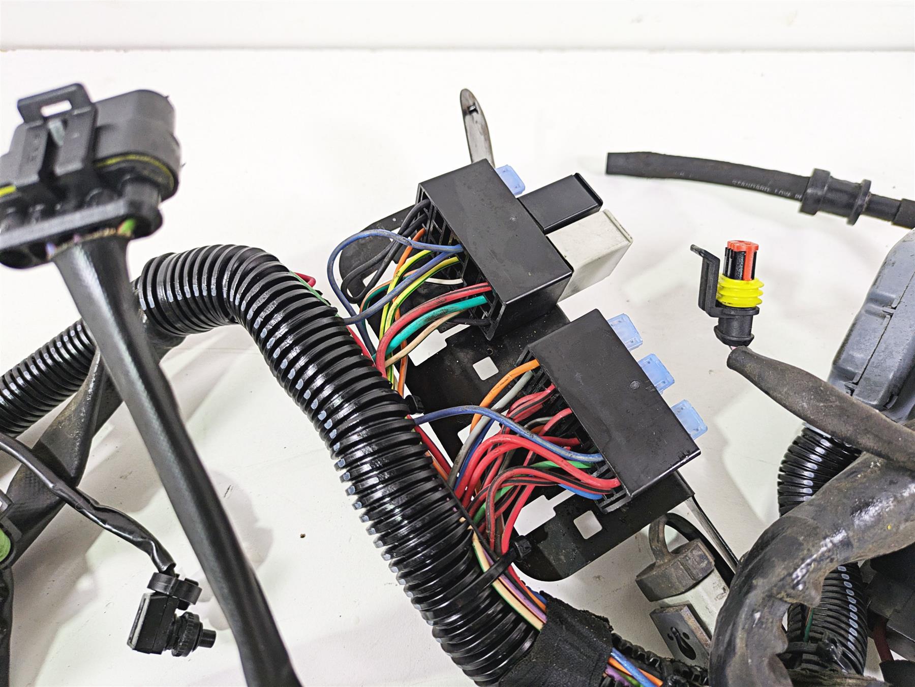 2008 Harley FLSTC 105TH Softail Heritage Wiring Harness Loom - Read 70431-08A {{ shop.shopifyCountryName }} - Mototech271