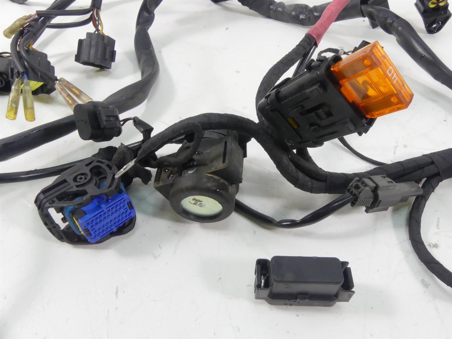 2006 Ducati Multistrada 1000S Wiring Harness Lom -No Cuts 51014711A {{ shop.shopifyCountryName }} - Mototech271