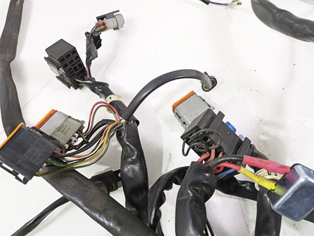 2002 Harley Dyna FXDL Low Rider Main Wiring Harness Loom - Read 69558-01 {{ shop.shopifyCountryName }} - Mototech271