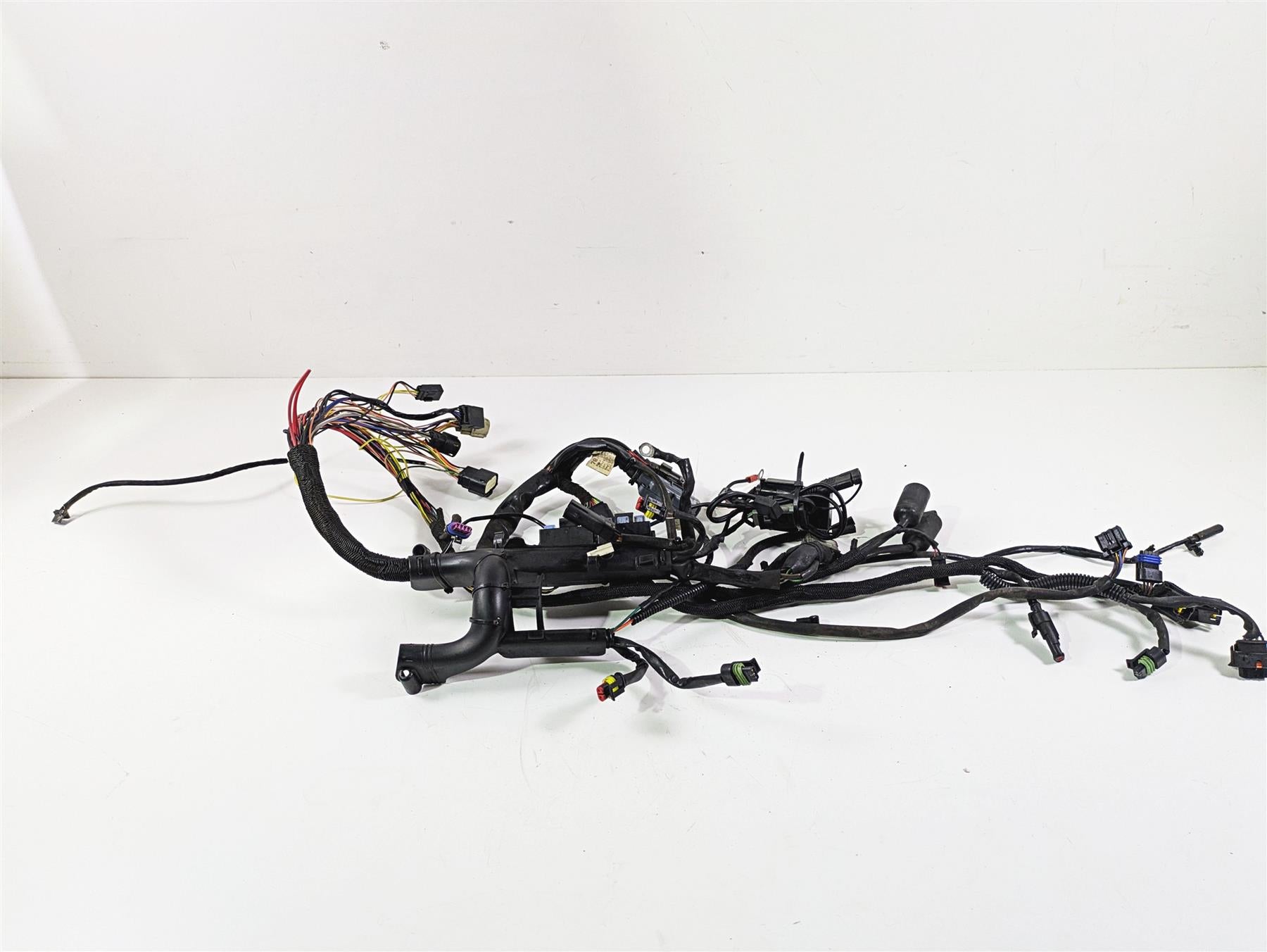 2009 Harley XR1200 Sportster Main & Engine Wiring Harness - Read 70225-08 {{ shop.shopifyCountryName }} - Mototech271