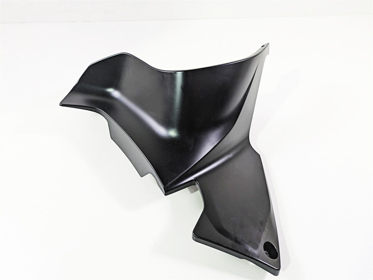 2019 BMW R1250RT K52 Left Engine Cover Fairing Cowl 46638382725 {{ shop.shopifyCountryName }} - Mototech271