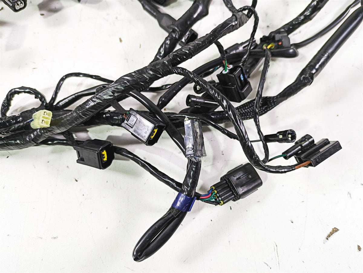 2023 Triumph Street Triple 765 RS Main Wiring Harness Loom - No Cuts T2507125 {{ shop.shopifyCountryName }} - Mototech271