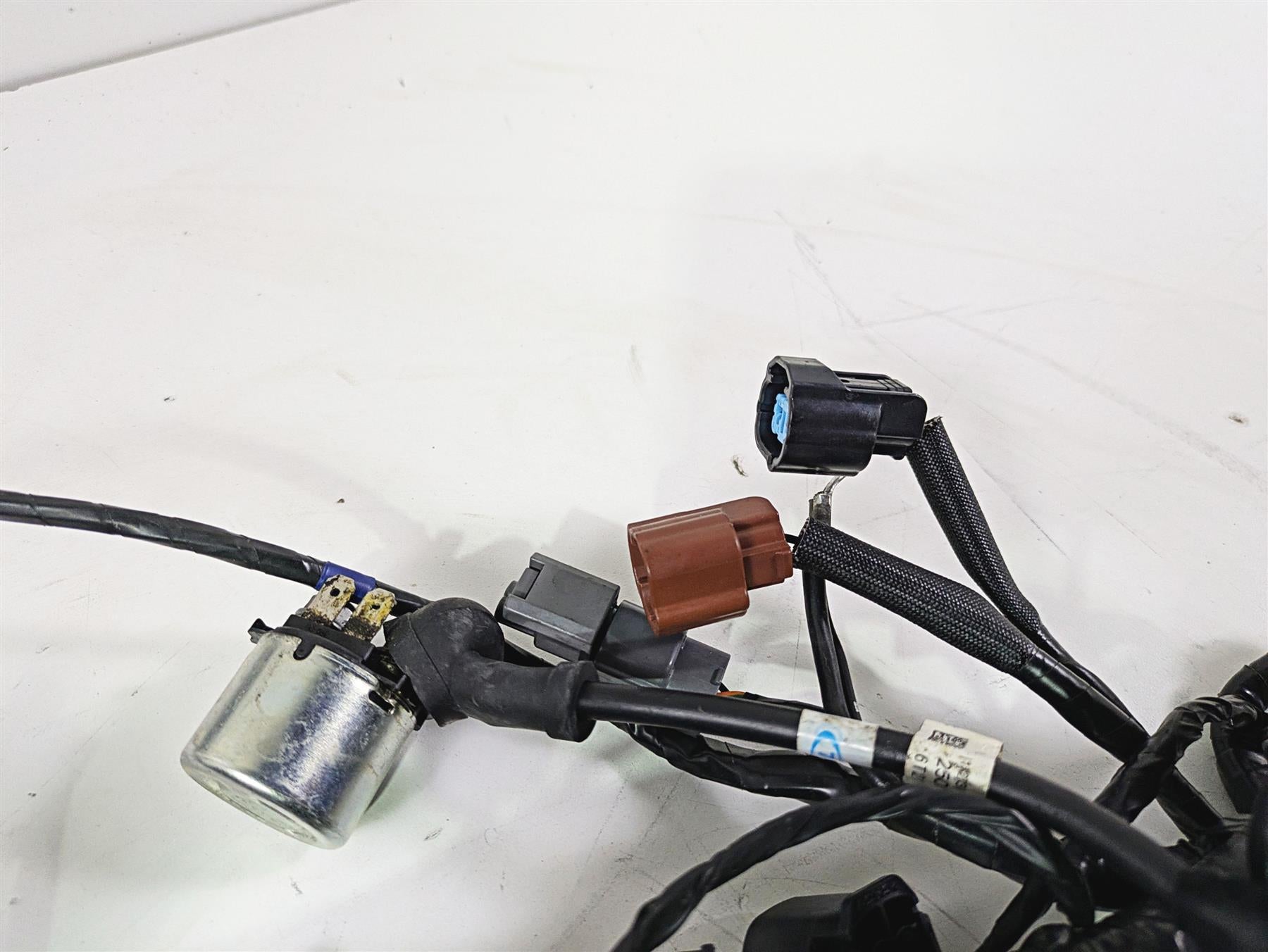 2013 Triumph Tiger 1215 Explorer Wiring Harness Loom - No Cuts T2501095 {{ shop.shopifyCountryName }} - Mototech271
