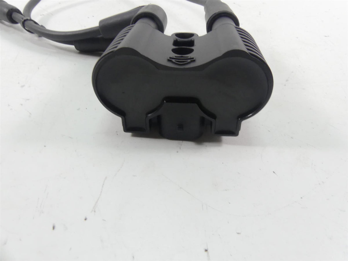 2020 Harley Sportster XL1200 NS Iron Delphi Ignition Coil Wires & Plugs 31656-07 {{ shop.shopifyCountryName }} - Mototech271