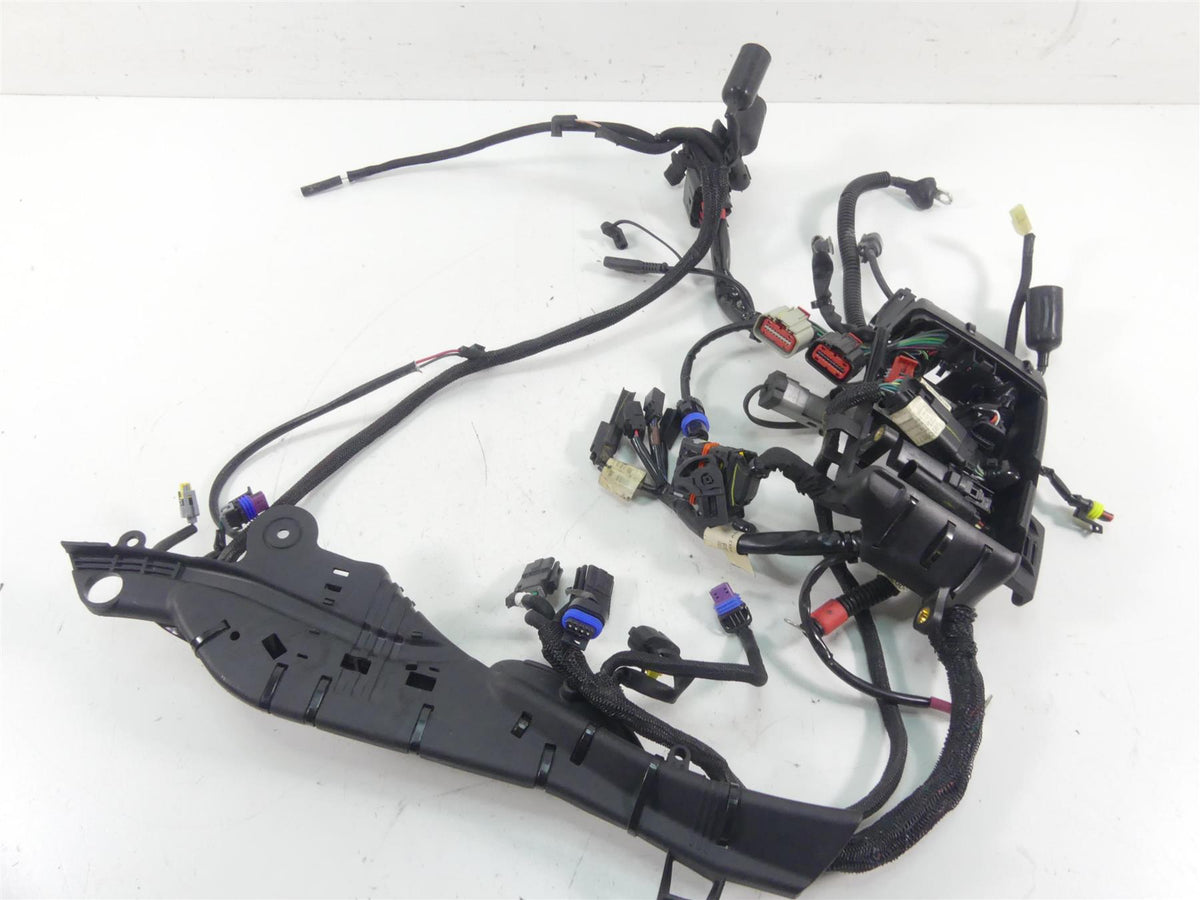 2020 Harley Sportster XL1200 NS Iron Main Wiring Harness Loom - No Abs 69200072B {{ shop.shopifyCountryName }} - Mototech271