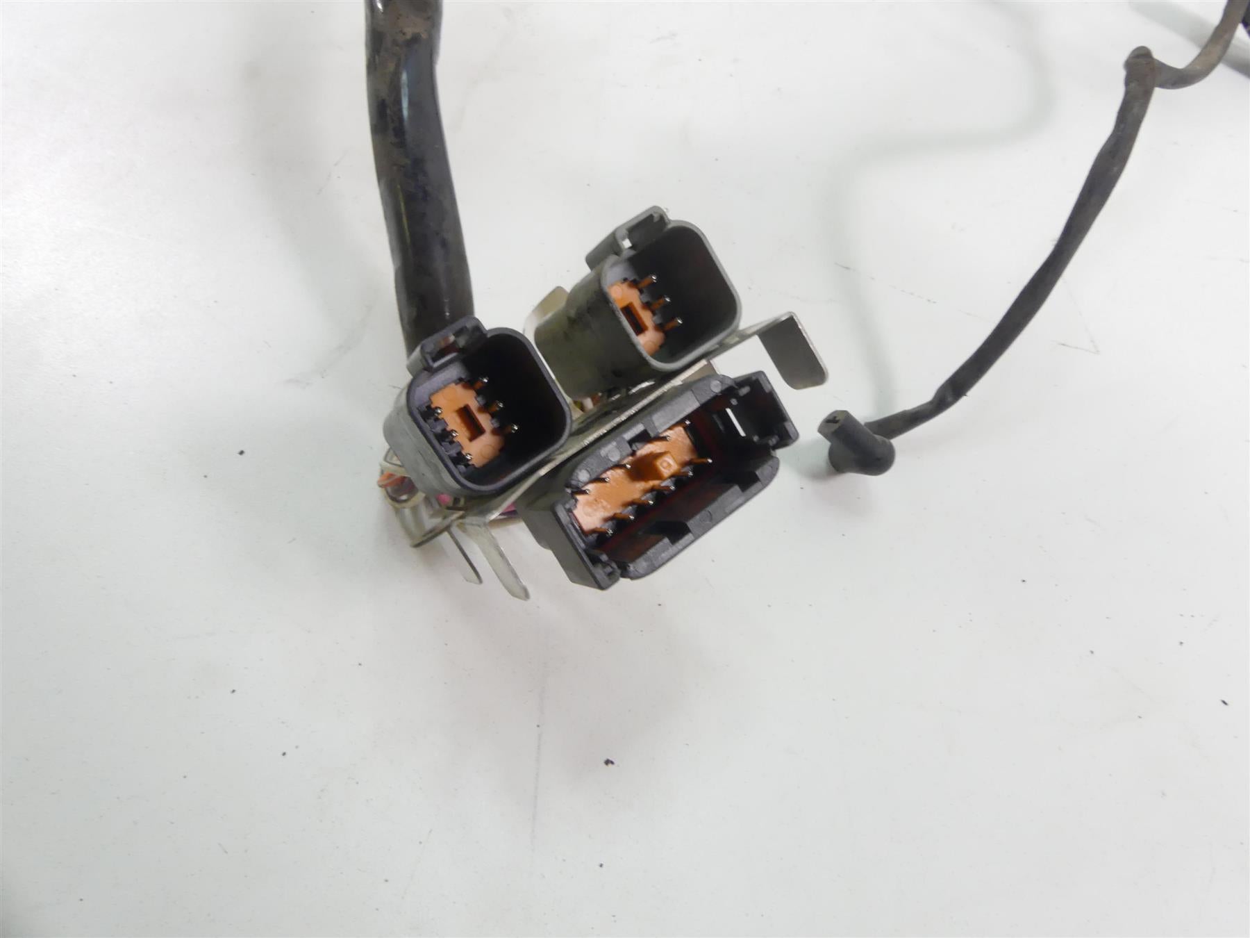 1999 Harley Davidson Sportster XL1200 Main Wiring Harness Loom - Read 70135-99 {{ shop.shopifyCountryName }} - Mototech271