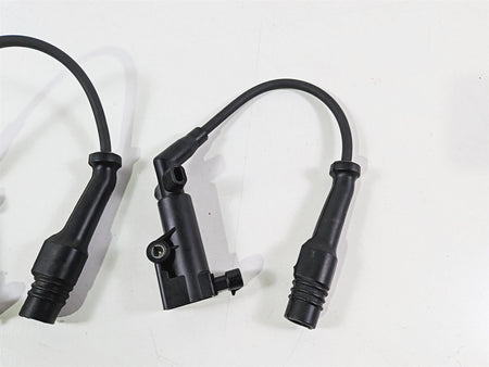 2020 Indian Challenger Limited Oem Delphi Ignition Coil Set 4015300-Mototech271