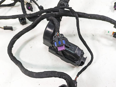 2022 Harley RA1250 S Pan America Engine Wiring Harness Loom - No Cuts 69201899A {{ shop.shopifyCountryName }} - Mototech271