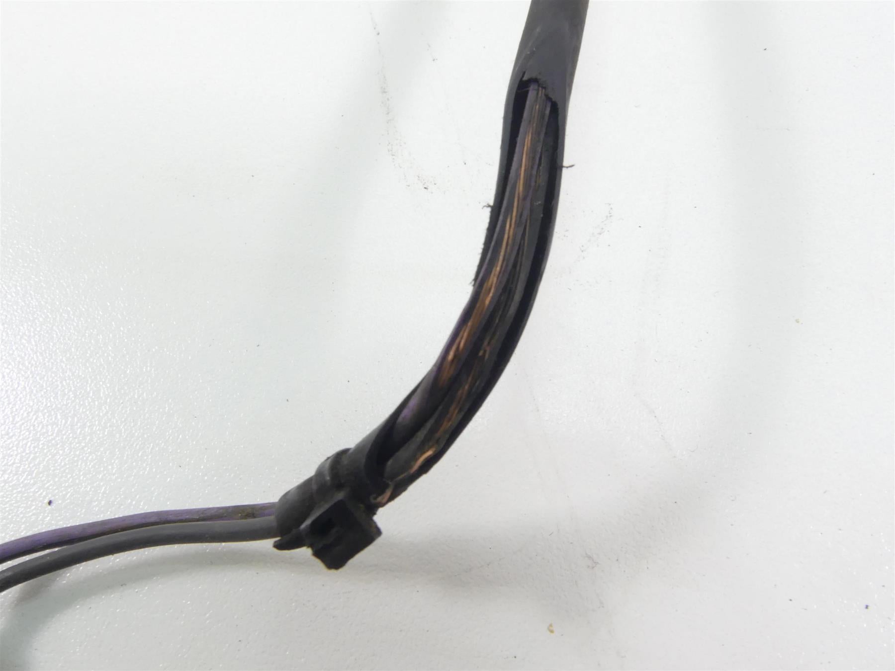 1999 Harley Dyna FXDL Low Rider Taillight Tail Light & Wiring 68140-04 {{ shop.shopifyCountryName }} - Mototech271