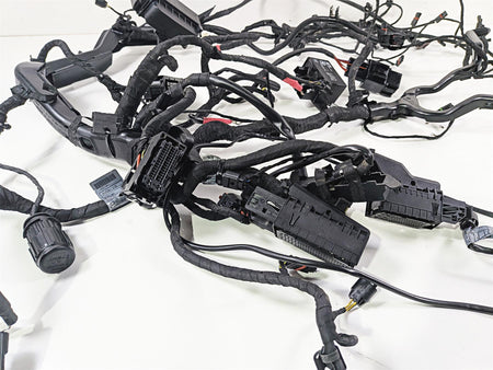 2016 BMW R1200 GS K50 Main & Engine Wiring Harness Esa 61118562116 {{ shop.shopifyCountryName }} - Mototech271