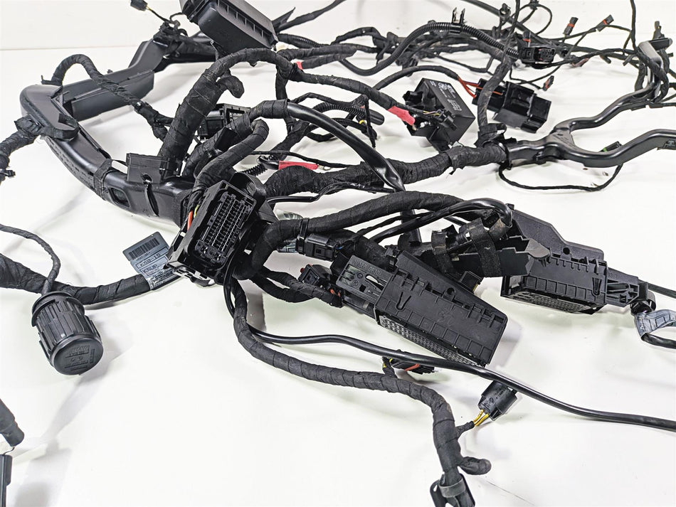 2016 BMW R1200 GS K50 Main & Engine Wiring Harness Esa 61118562116 {{ shop.shopifyCountryName }} - Mototech271