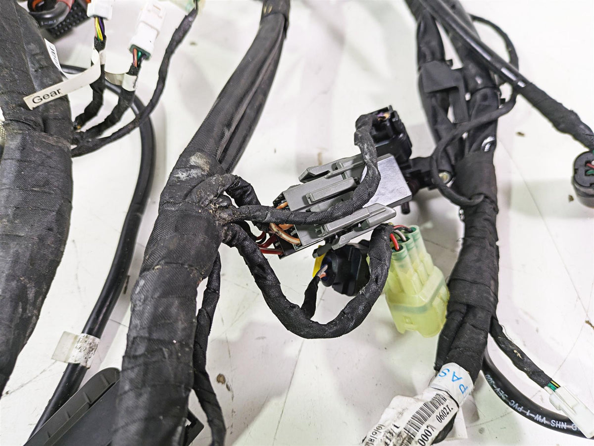2015 Ducati Panigale 1299 S Wiring Harness Loom READ 5101A011D {{ shop.shopifyCountryName }} - Mototech271