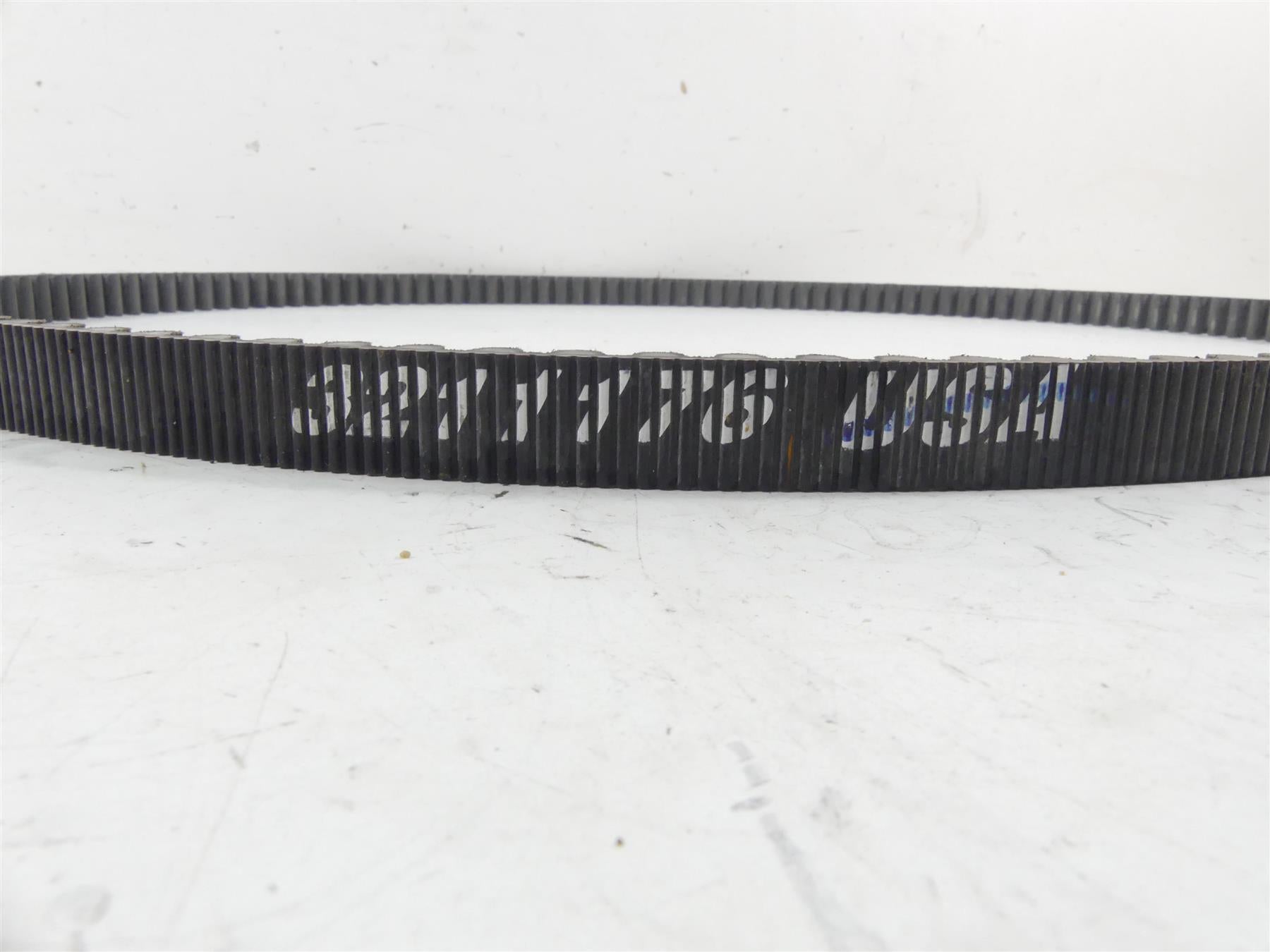 2016 Indian Scout Sixty Rear Main Drive Belt 141T 22mm 3211176 {{ shop.shopifyCountryName }} - Mototech271