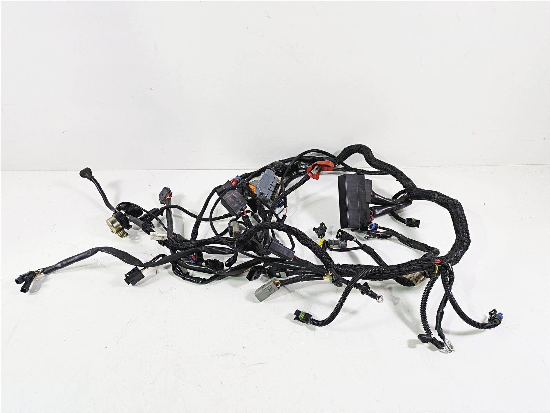 2006 Harley VRSCR Street V-Rod Main & Engine Wiring Harness 70162-06 | Mototech271