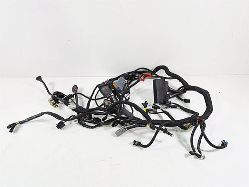 2006 Harley VRSCR Street V-Rod Main & Engine Wiring Harness 70162-06 | Mototech271