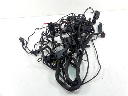 2015 BMW R1200GS GSW K50 Main & Engine Wiring Harness Esa Abs 61118549371 {{ shop.shopifyCountryName }} - Mototech271